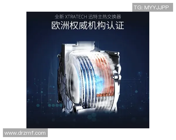 北京排球队技术水平创新高引发全国关注排球技术排名再上新台阶 北京排球队技术水平创新高引发全国关注排球技术排名再上新台阶