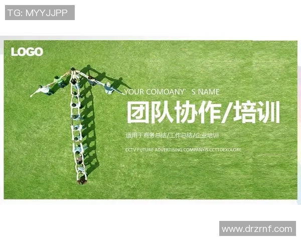 广州飞盘队团队协作表现的深入数据分析与探讨