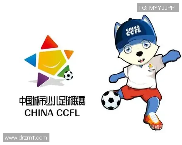 深圳足球队的运营模式与发展策略深度解析